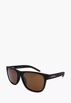 Очки солнцезащитные Greywolf