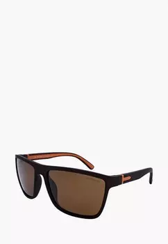 Очки солнцезащитные Greywolf