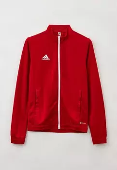 Олимпийка adidas