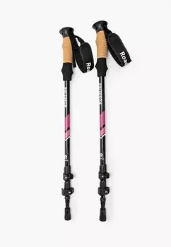 Палки для ходьбы Roadlike