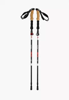 Палки для ходьбы Roadlike