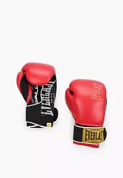 Перчатки боксерские Everlast