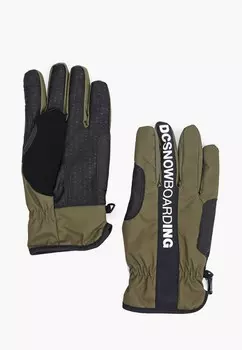 Перчатки горнолыжные DC Shoes