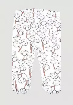 Ползунки Mjolk