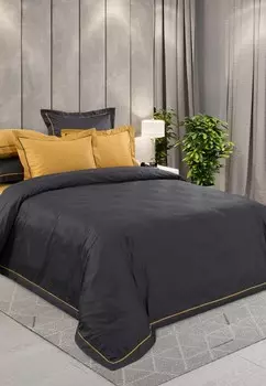 Постельное белье Евро Legends