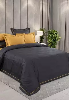 Постельное белье Евро Legends