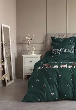 Постельное белье Евро Ночь нежна