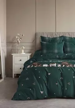 Постельное белье Евро Ночь нежна