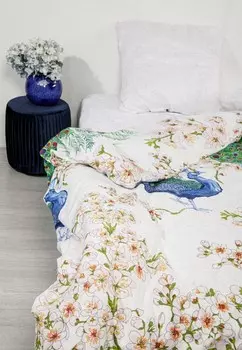 Постельное белье Евро Ночь нежна