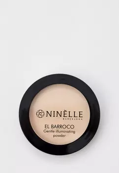 Пудра Ninelle