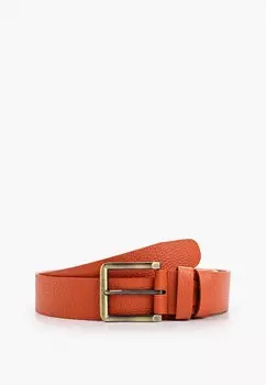 Ремень Olio Rosti