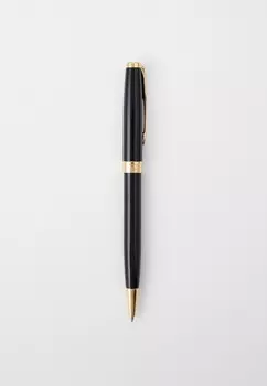 Ручка и чехол Parker