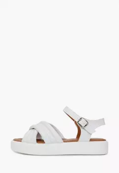 Сандалии T.Taccardi