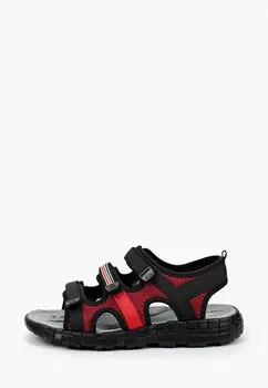 Сандалии T.Taccardi