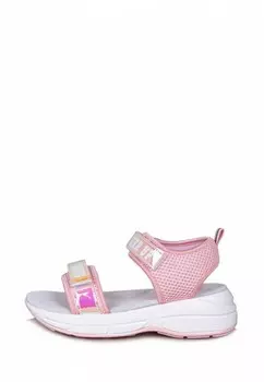 Сандалии T.Taccardi