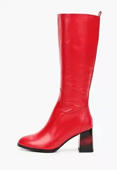 Сапоги Ascalini