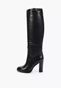 Сапоги Basconi