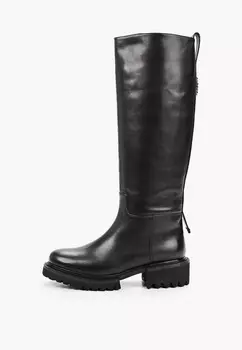 Сапоги Basconi