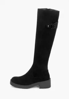 Сапоги T.Taccardi