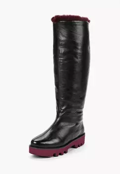 Сапоги Vitacci