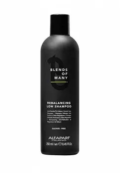 Шампунь Alfaparf Milano