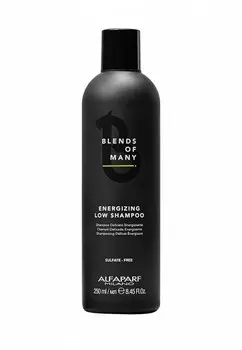 Шампунь Alfaparf Milano