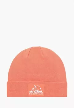 Шапка The North Face