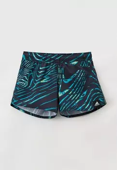 Шорты для плавания adidas