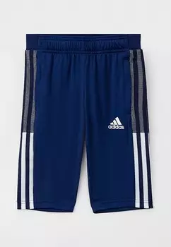 Шорты спортивные adidas