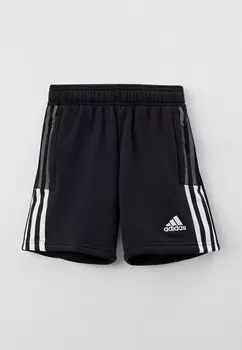 Шорты спортивные adidas