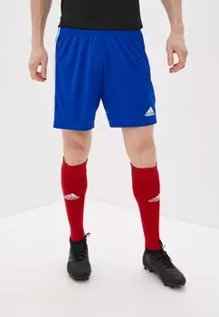 Шорты спортивные adidas
