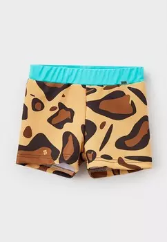 Шорты спортивные Bukidz