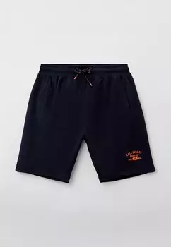 Шорты спортивные D555