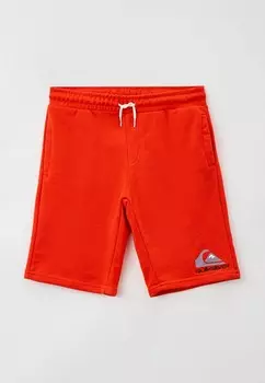 Шорты спортивные Quiksilver