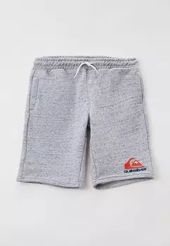 Шорты спортивные Quiksilver