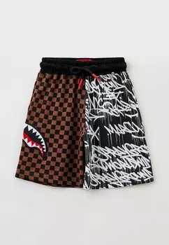 Шорты спортивные Sprayground