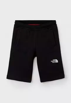 Шорты спортивные The North Face