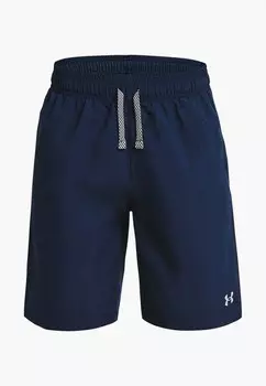 Шорты спортивные Under Armour