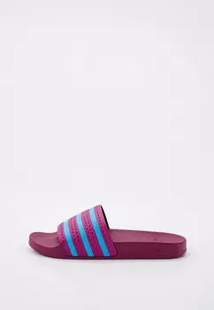 Сланцы adidas Originals