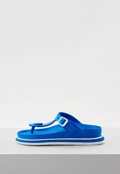 Сланцы Barracuda