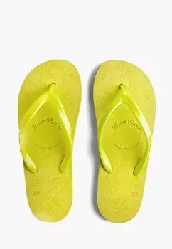 Сланцы Evars
