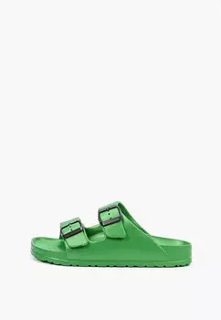 Сланцы Котофей