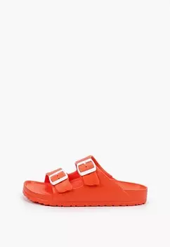 Сланцы Котофей