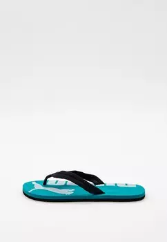 Сланцы PUMA