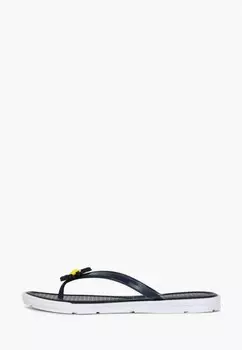 Сланцы T.Taccardi