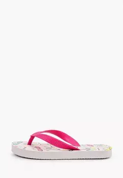 Сланцы T.Taccardi