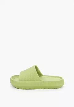 Сланцы Тофа