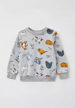 Свитшот Acoola