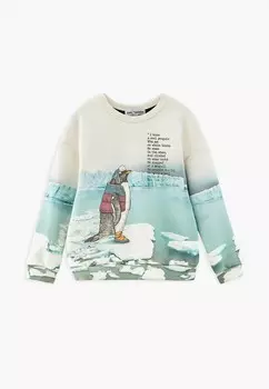 Свитшот Bell Bimbo