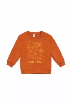 Свитшот Bossa Nova